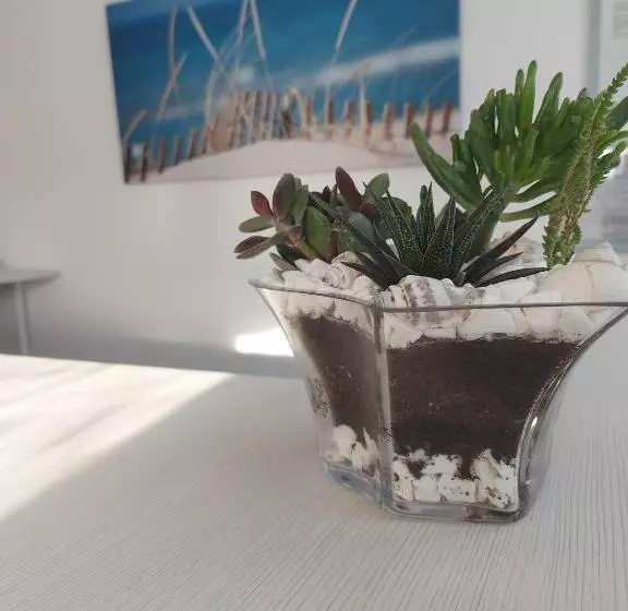 Majatalo Seahorse Guesthouse