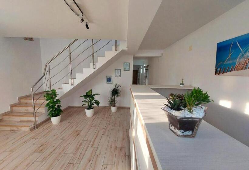 پانسیون Seahorse Guesthouse