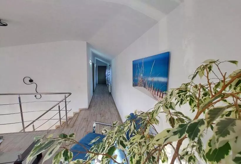 Majatalo Seahorse Guesthouse