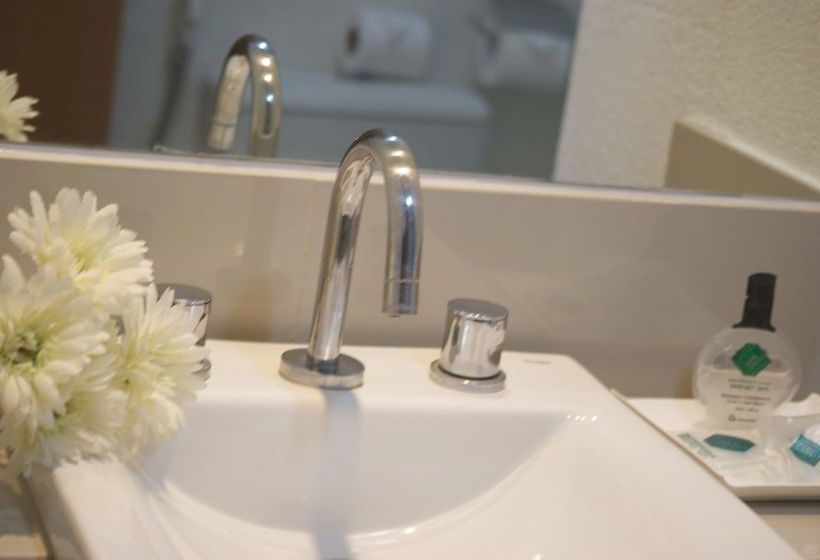 Hotel Campus Flat by Vision Vespasiano