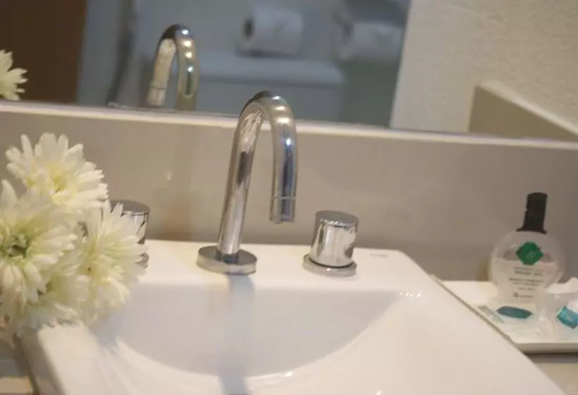 فندق Campus Flat by Vision Vespasiano