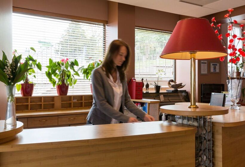 בית מלון כפרי The Originals Boutique, Hôtel Alizé, évianlesbains