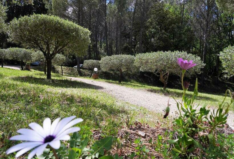 مبيت وإفطار Le Mas Des Oliviers