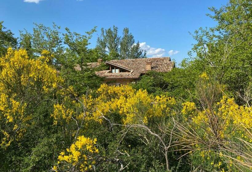 민박 Luci Sui Monti