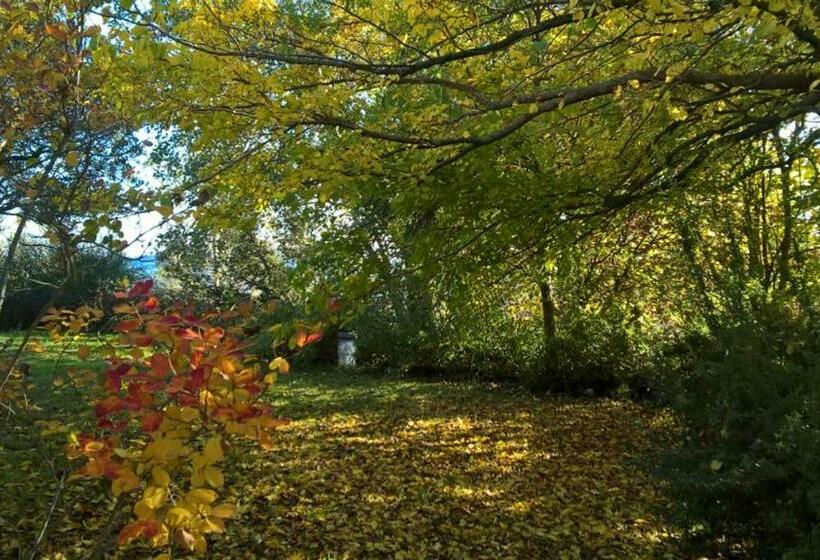 민박 Luci Sui Monti