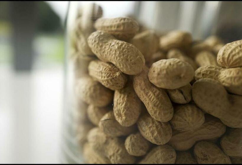 ベッドアンドブレックファースト Rooseboom22