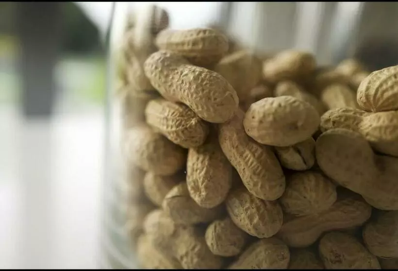 Aamiaismajoitus (B&B) Rooseboom22