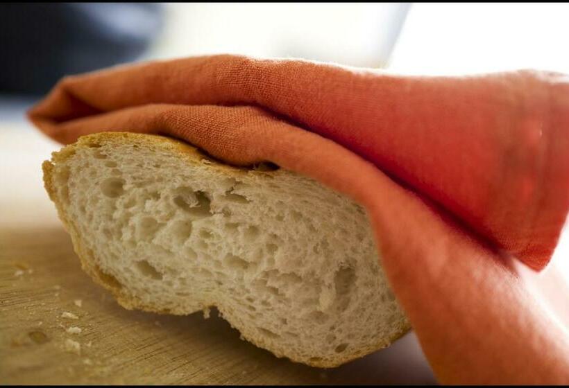 ベッドアンドブレックファースト Rooseboom22