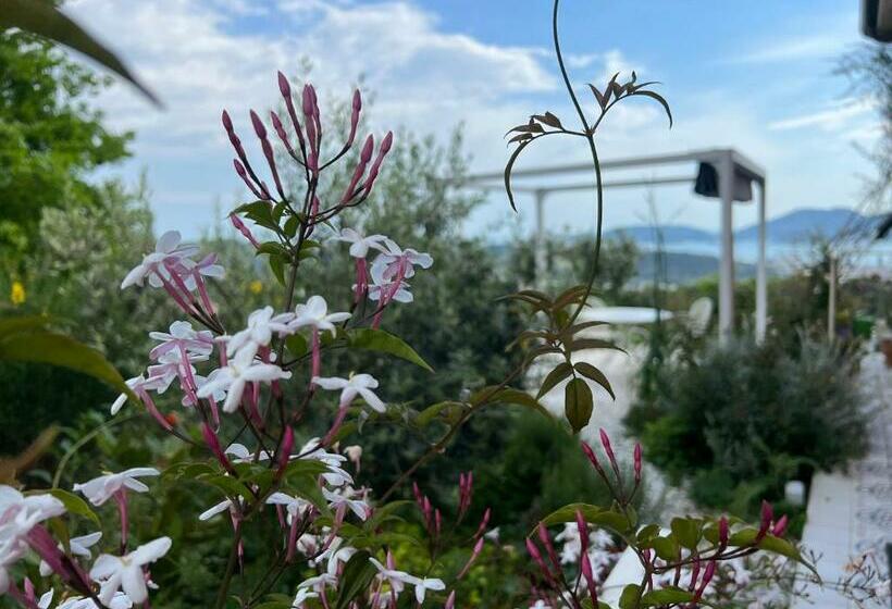 بنسيون Camera Hortensia By Le Rose