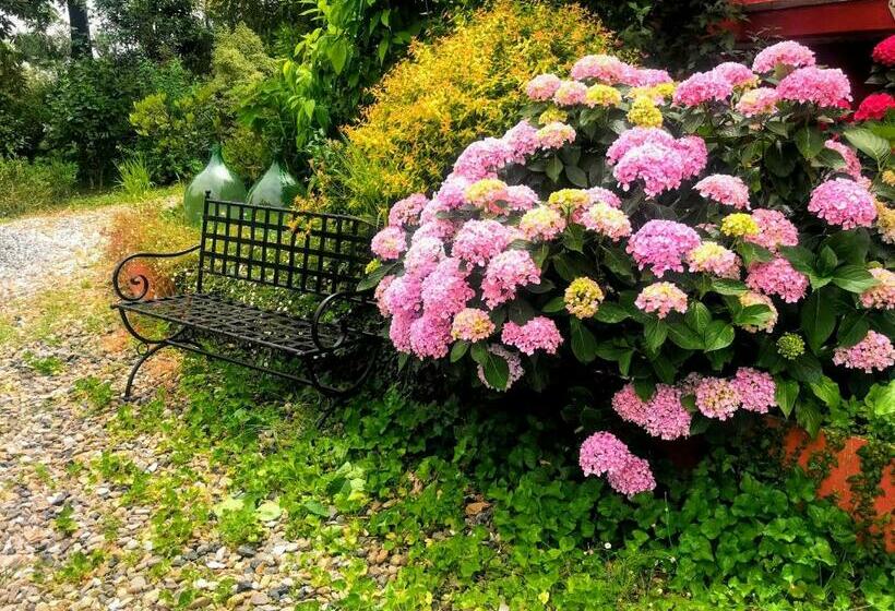 بنسيون Camera Hortensia By Le Rose