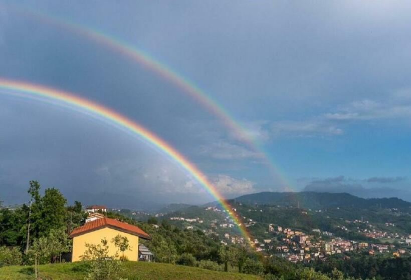 بنسيون Camera Hortensia By Le Rose