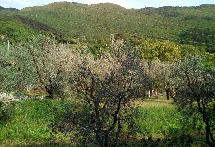 B&b Agli Ulivi