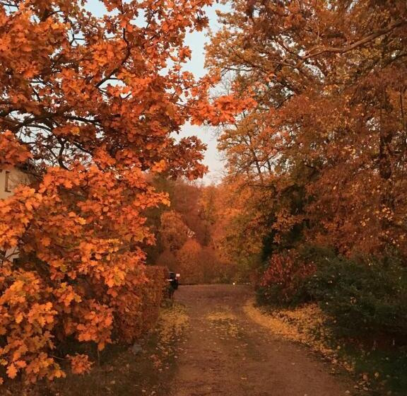 צימר Espaces D Or