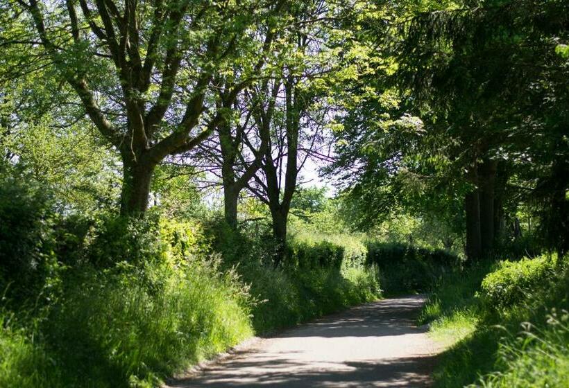 مبيت وإفطار Huize Mesch