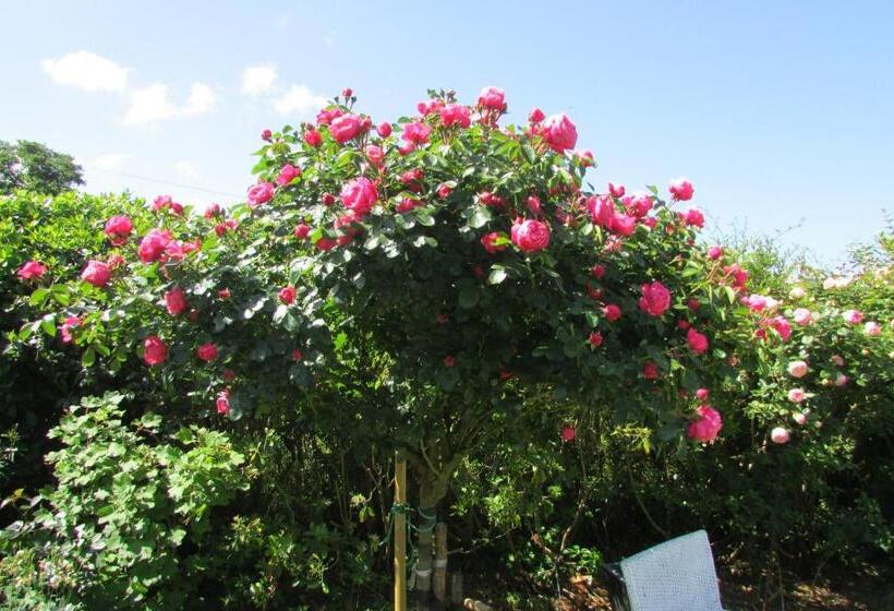 Bed & Breakfast L Agapanthe