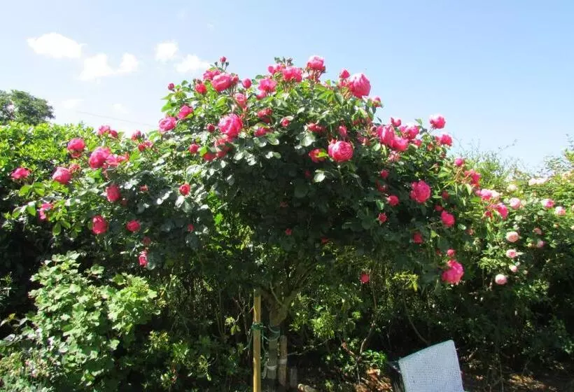 Aamiaismajoitus (B&B) L Agapanthe