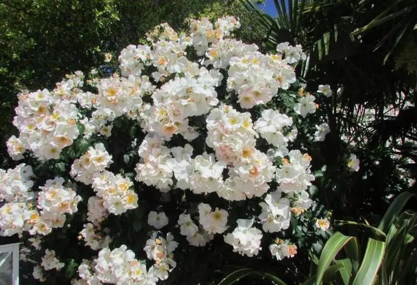 Aamiaismajoitus (B&B) L Agapanthe