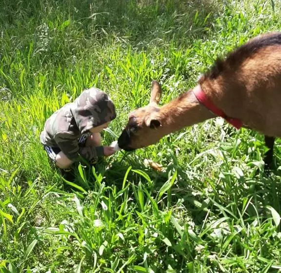 Aamiaismajoitus (B&B) Le Paradis De Clarisse