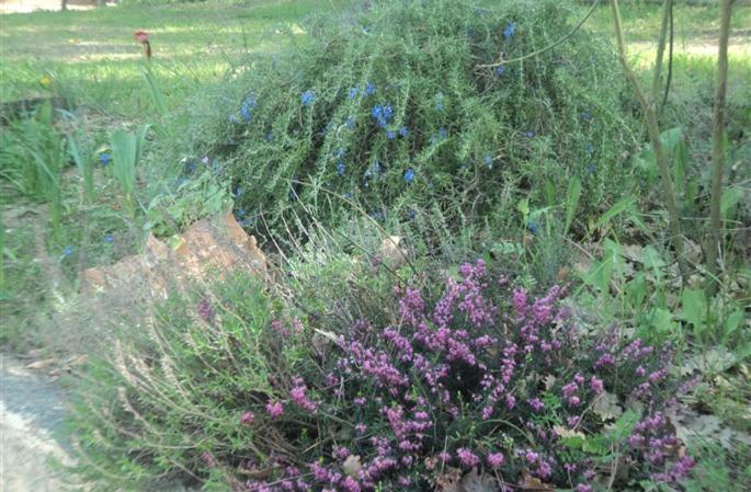 민박 Le Paradis De Clarisse