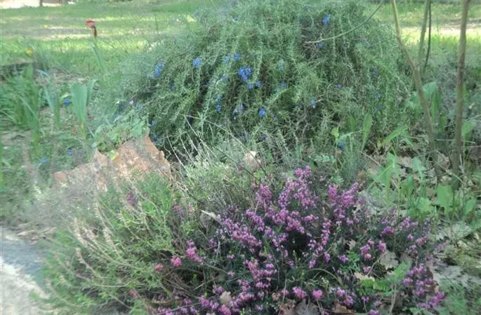 Aamiaismajoitus (B&B) Le Paradis De Clarisse