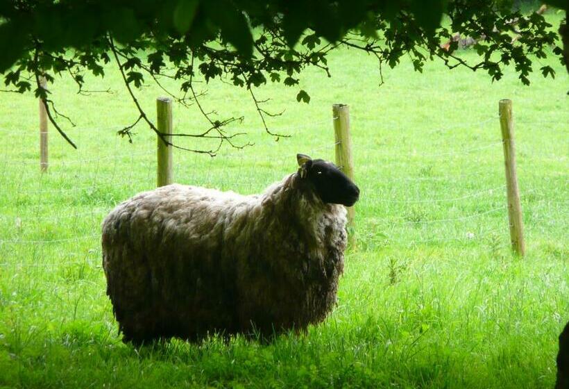צימר Le Prince Gourmand