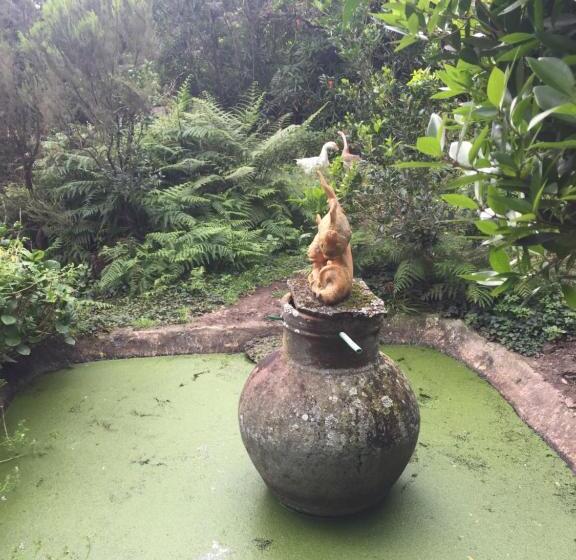 호텔 Intact Farm Resort