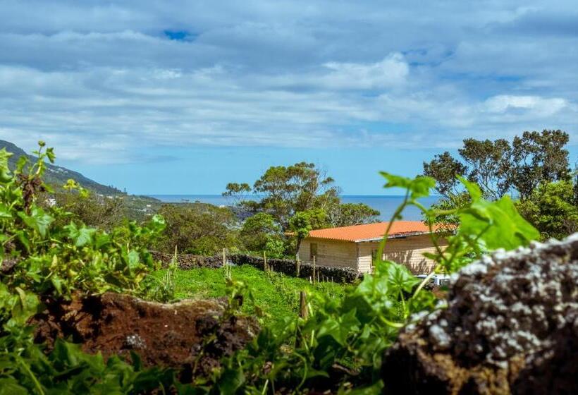 호텔 Intact Farm Resort