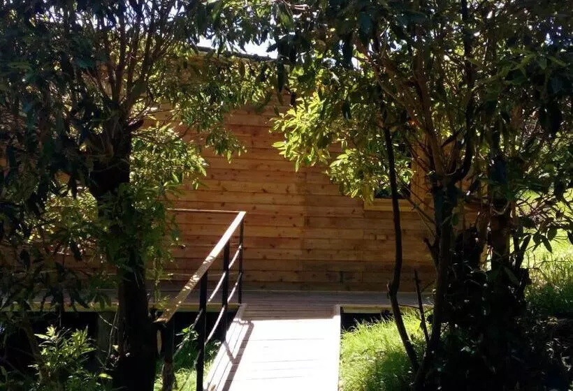 ホテル Intact Farm Resort