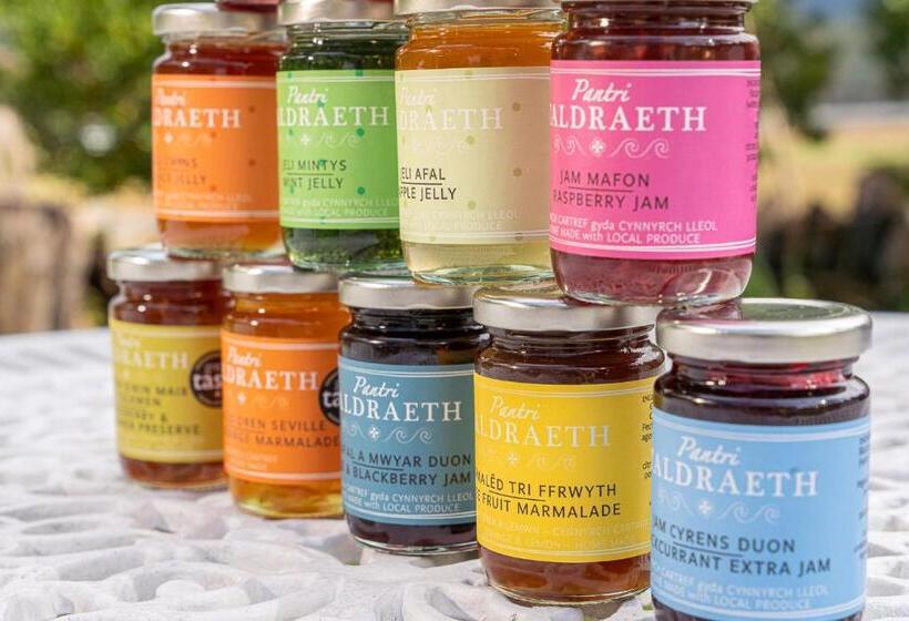 펜션 Taldraeth Old Vicarage Guest House