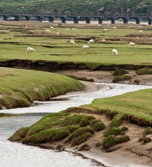 펜션 Taldraeth Old Vicarage Guest House