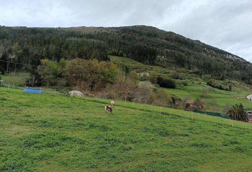 פנסיון Ubilla Aterpetxea