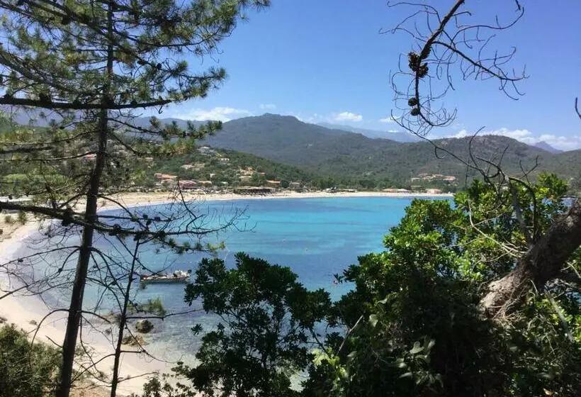 Résidence Playa Del Oro