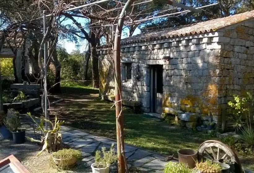 ベッドアンドブレックファースト Agriturismo La Vigna