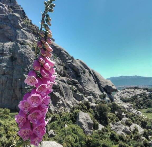 تختخواب و صبحانه Agriturismo La Vigna