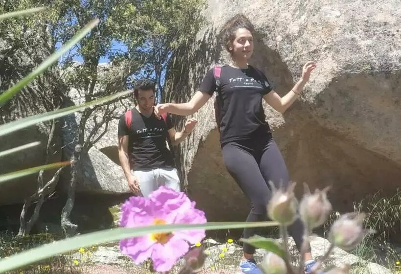 ベッドアンドブレックファースト Agriturismo La Vigna