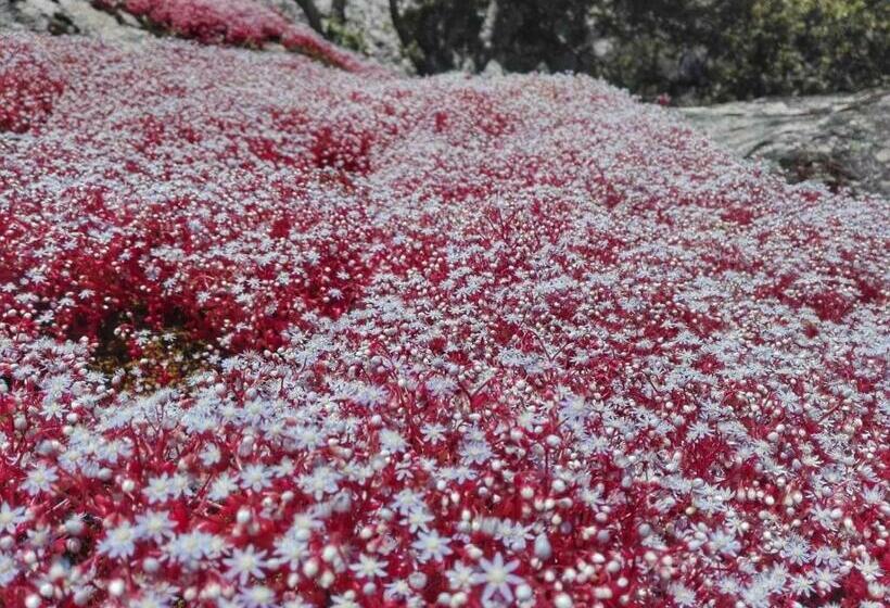تختخواب و صبحانه Agriturismo La Vigna