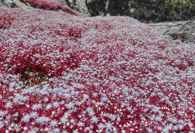 ベッドアンドブレックファースト Agriturismo La Vigna