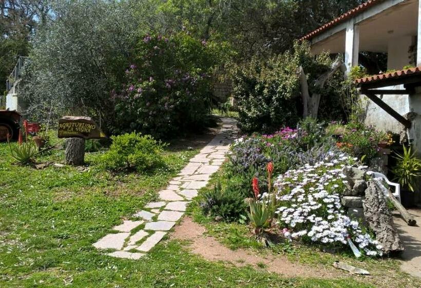 تختخواب و صبحانه Agriturismo La Vigna