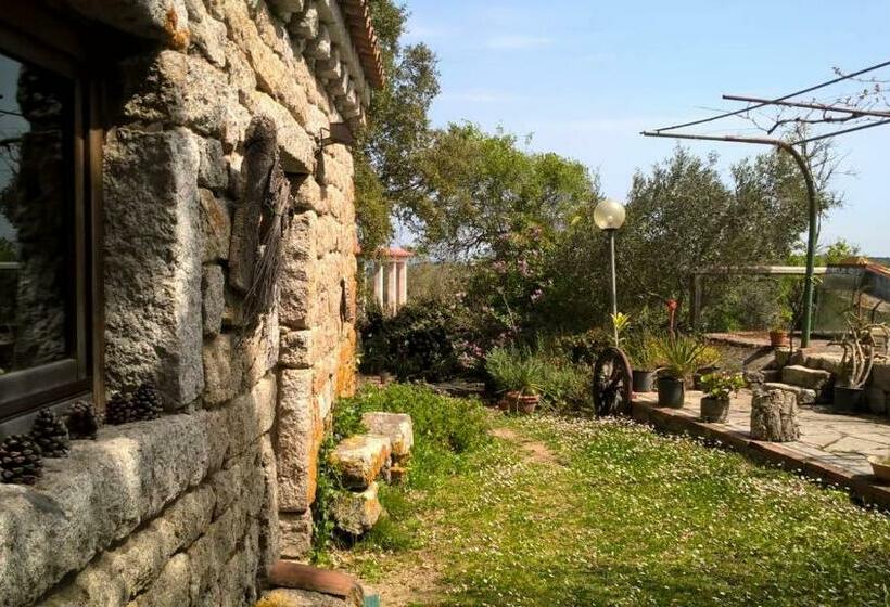 تختخواب و صبحانه Agriturismo La Vigna