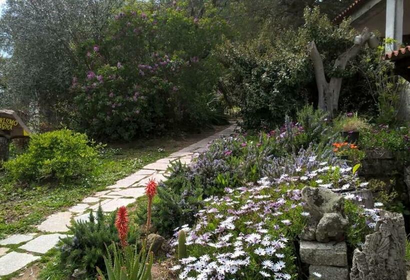 تختخواب و صبحانه Agriturismo La Vigna