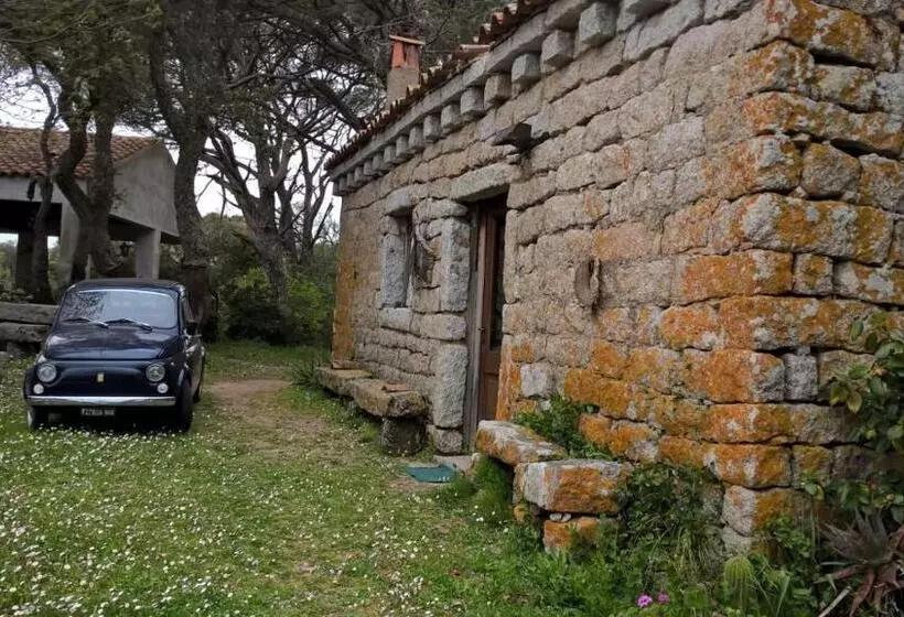 ベッドアンドブレックファースト Agriturismo La Vigna