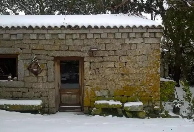 ベッドアンドブレックファースト Agriturismo La Vigna