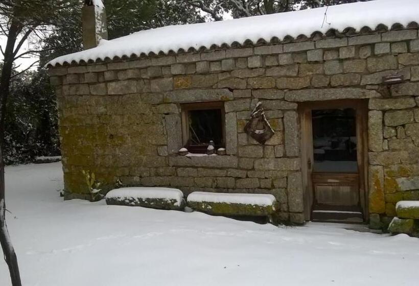 تختخواب و صبحانه Agriturismo La Vigna