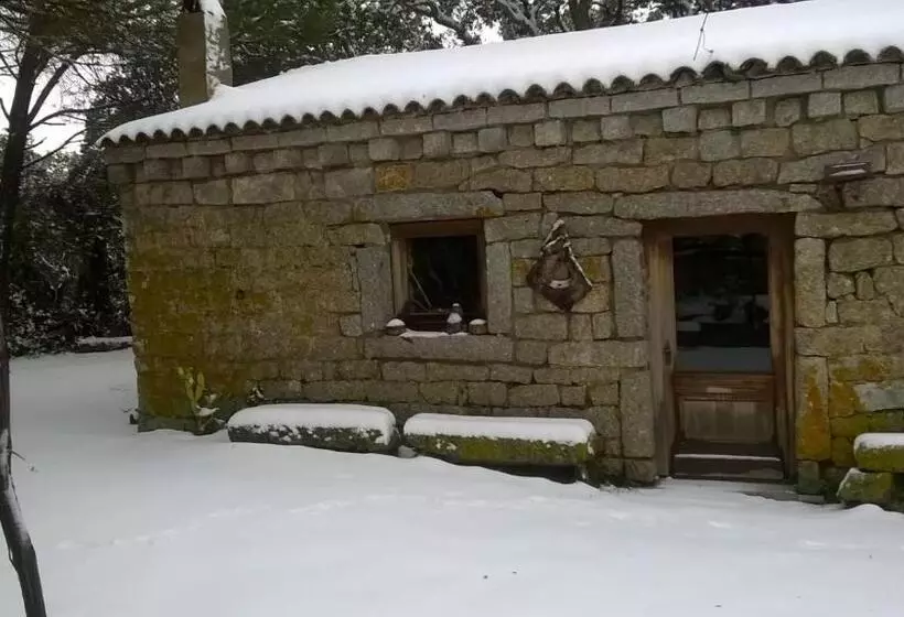 ベッドアンドブレックファースト Agriturismo La Vigna