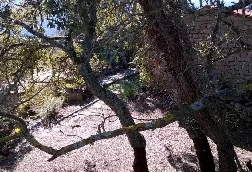 ベッドアンドブレックファースト Agriturismo La Vigna