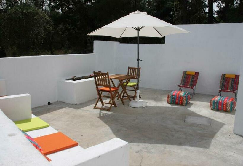 住宿加早餐  Casa Do Loureiro Branco