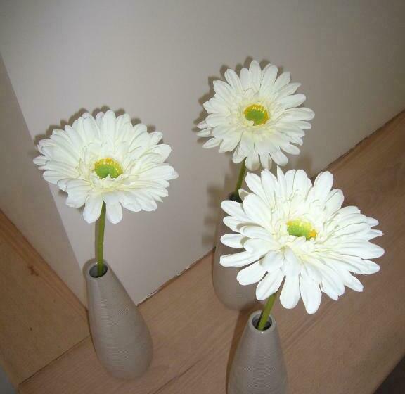 Nocleg ze śniadaniem La Cense Hebron