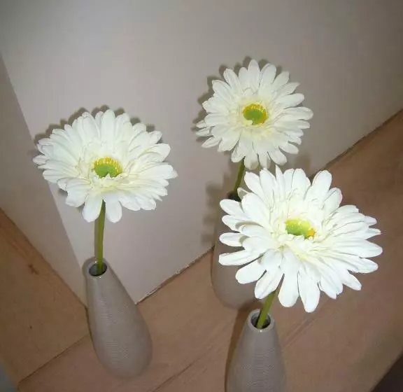 Aamiaismajoitus (B&B) La Cense Hebron