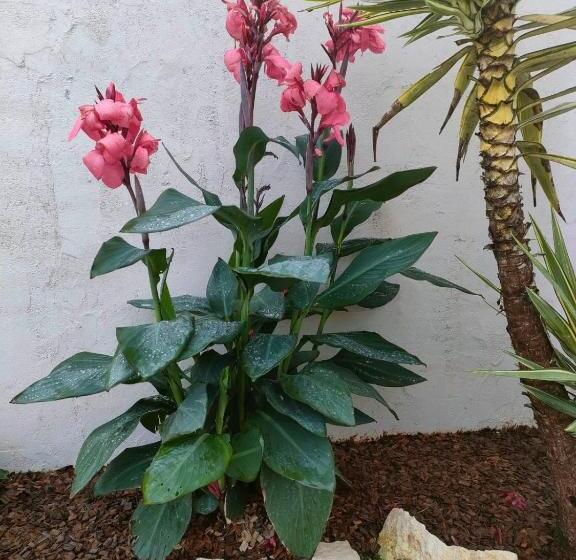 צימר La Charentaise Ch D Hôtes ,studio