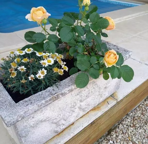 Aamiaismajoitus (B&B) La Charentaise Ch D Hôtes ,studio